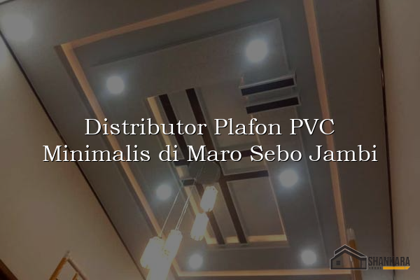 Distributor Plafon PVC Minimalis di Maro Sebo Jambi