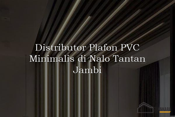 Distributor Plafon PVC Minimalis di Nalo Tantan Jambi