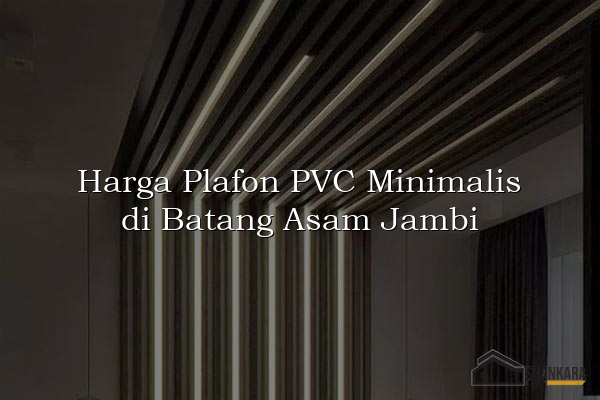 Harga Plafon PVC Minimalis di Batang Asam Jambi