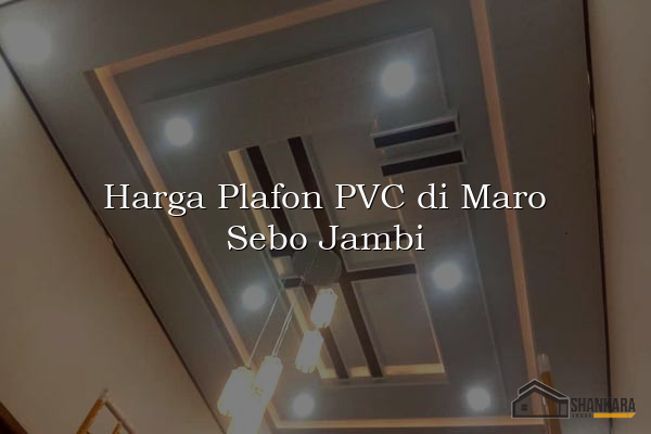 Harga Plafon PVC di Maro Sebo Jambi