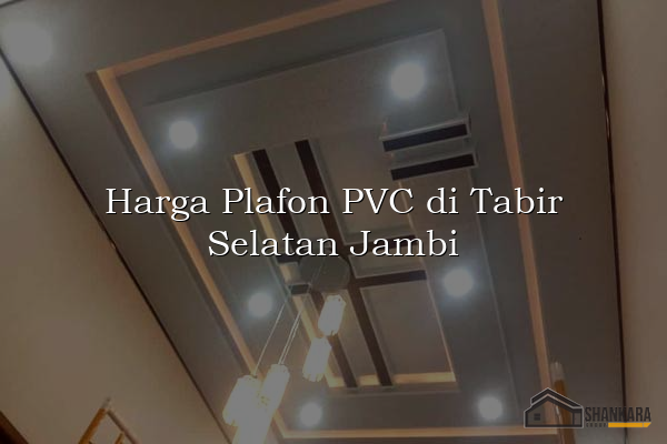 Harga Plafon PVC di Tabir Selatan Jambi