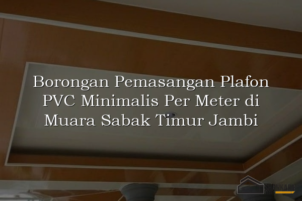 Borongan Pemasangan Plafon PVC Minimalis Per Meter di Muara Sabak Timur Jambi