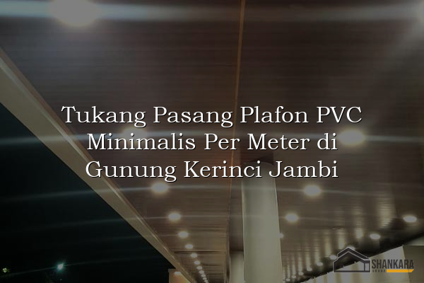 Tukang Pasang Plafon PVC Minimalis Per Meter di Gunung Kerinci Jambi