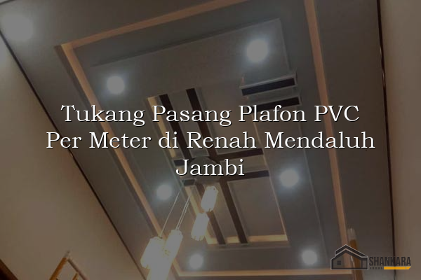 Tukang Pasang Plafon PVC Per Meter di Renah Mendaluh Jambi