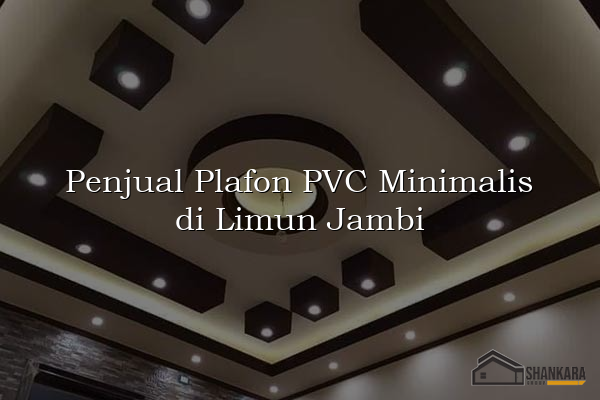 Penjual Plafon PVC Minimalis di Limun Jambi