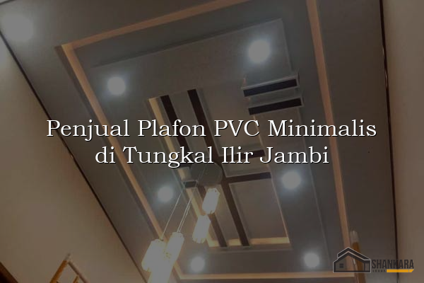 Penjual Plafon PVC Minimalis di Tungkal Ilir Jambi