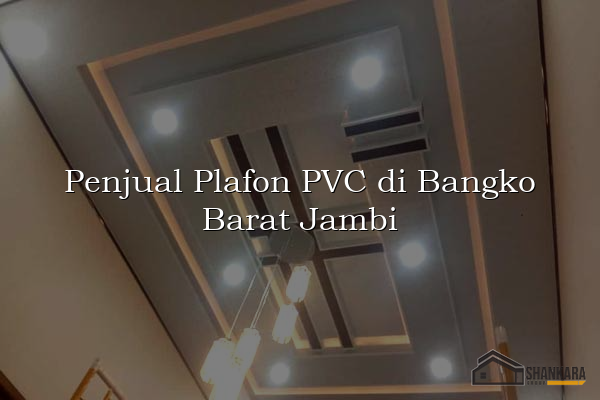 Penjual Plafon PVC di Bangko Barat Jambi