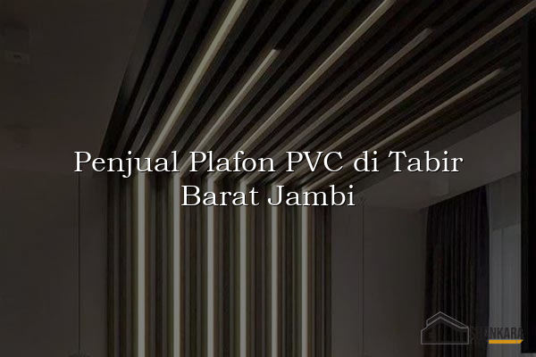 Penjual Plafon PVC di Tabir Barat Jambi