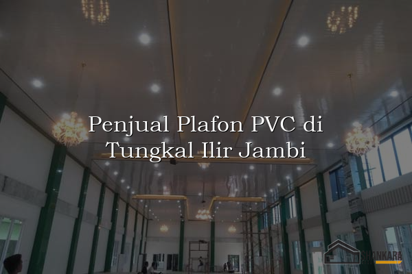 Penjual Plafon PVC di Tungkal Ilir Jambi