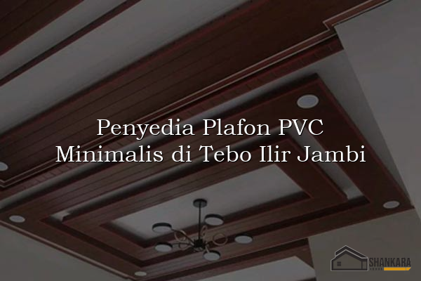 Penyedia Plafon PVC Minimalis di Tebo Ilir Jambi
