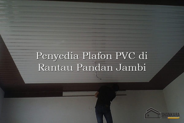 Penyedia Plafon PVC di Rantau Pandan Jambi
